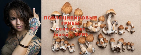 таблы Алексеевка