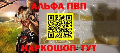 стафф Шелехов