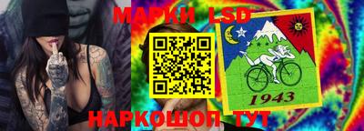 стафф Шелехов