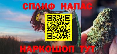 стафф Шелехов