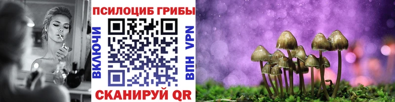 Псилоцибиновые грибы Cubensis  Люберцы 